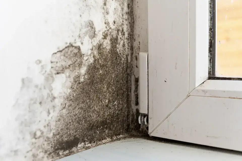 Fort Worth's Trusted Property Restoration Specialists — Fort Worth, TX